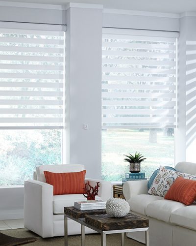 Zebra Blinds by GREENWindows